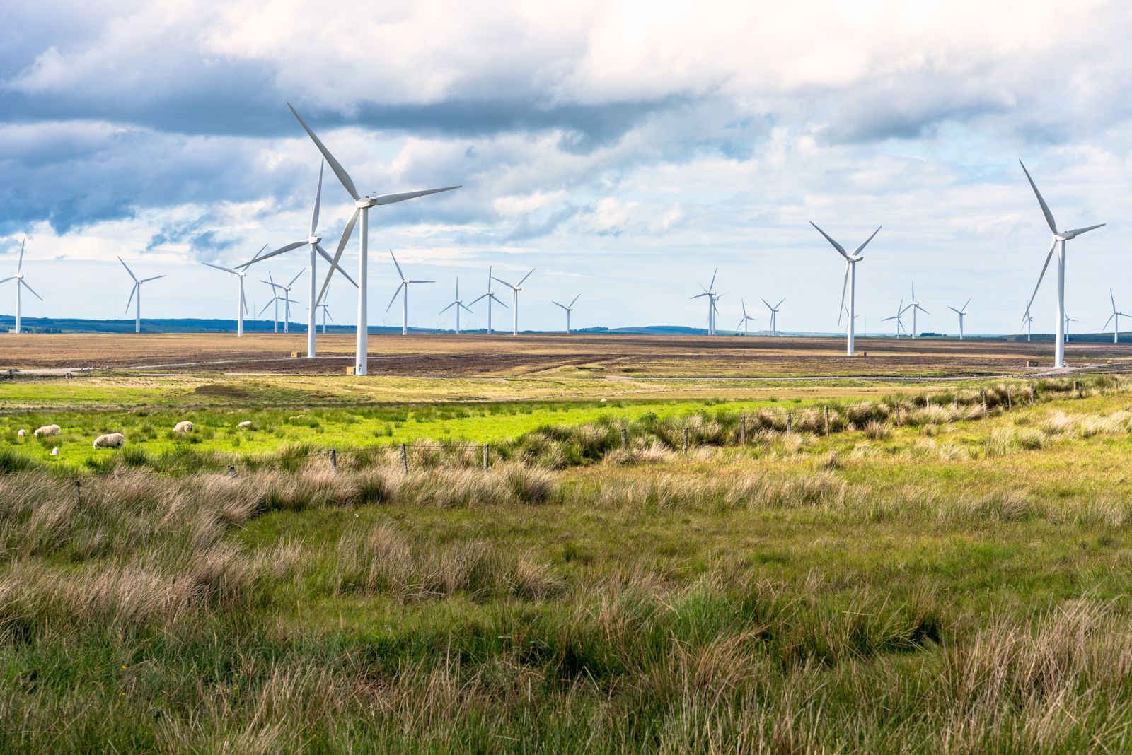 Windfarms in Scotland banner image