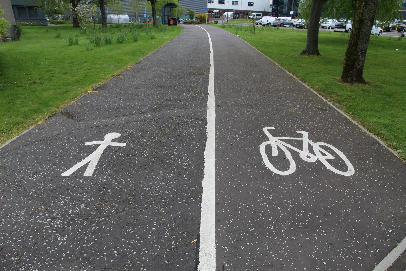 Cycle lane on pavement banner image