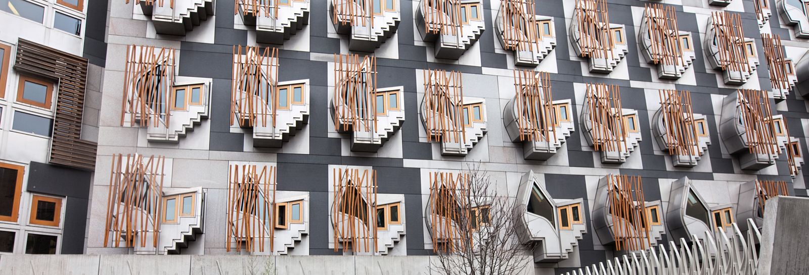 Windows at the Scottish Parliament banner image