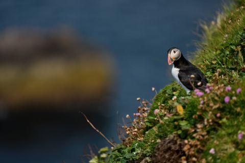 Nature of Scotland awards open to nominations