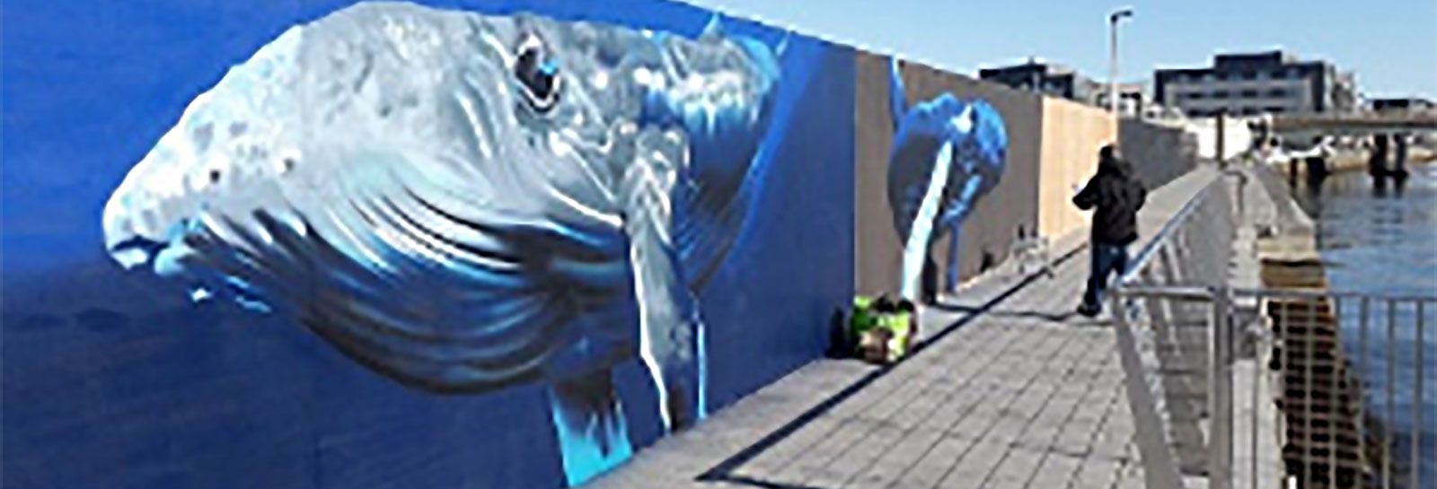 A whale mural at Dundee shoreline banner image