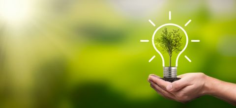 Feedback sought on Energy and Just Transition plans