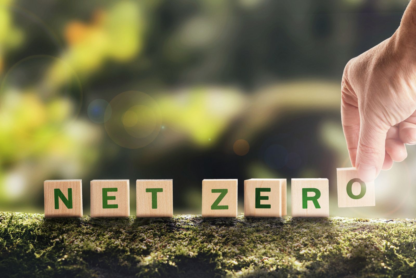 Net Zero written on wooden blocks banner image
