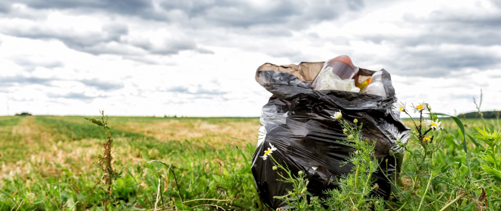 Black bag of collected litter banner image