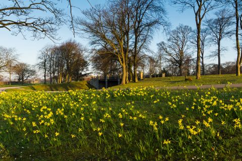 Have your say on tackling the nature emergency in Scotland
