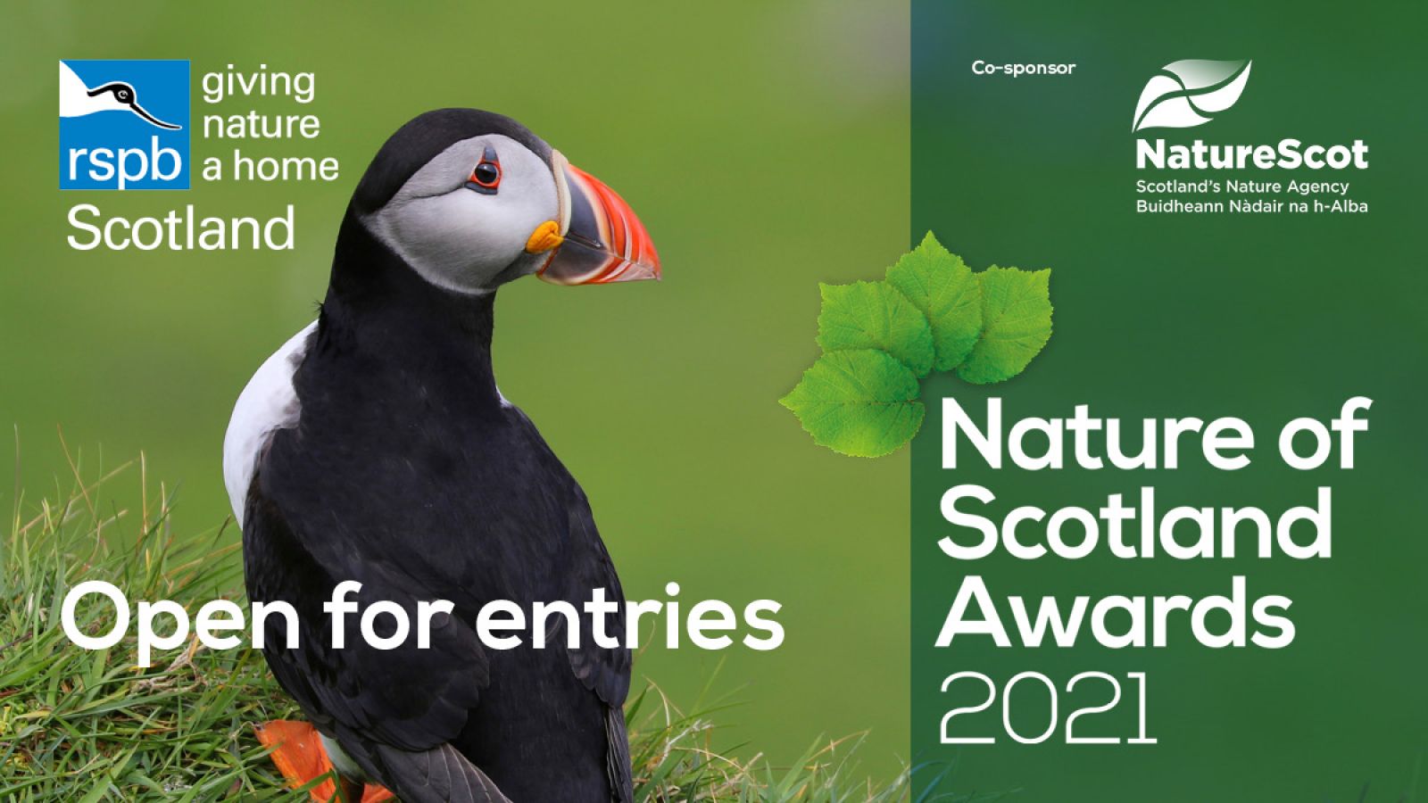 Seeking Scotland's Nature Heroes banner image