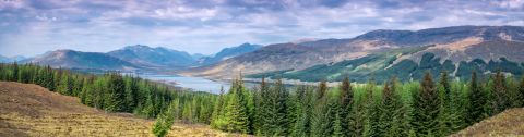 Consultation launched on land reform legislation