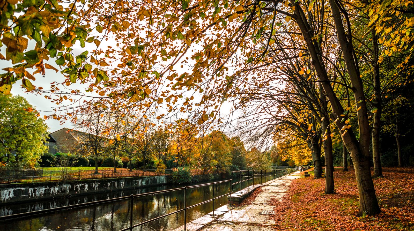 Path along Water of Leith in Edinburgh banner image