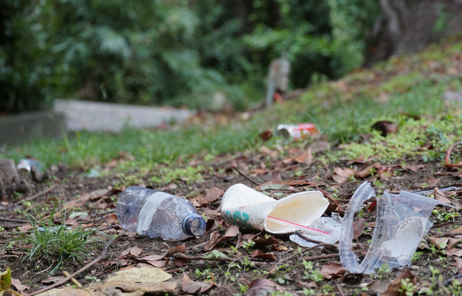 Pile of litter on grass banner image