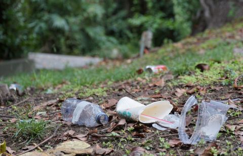 Get involved with Spring Clean Scotland 2025