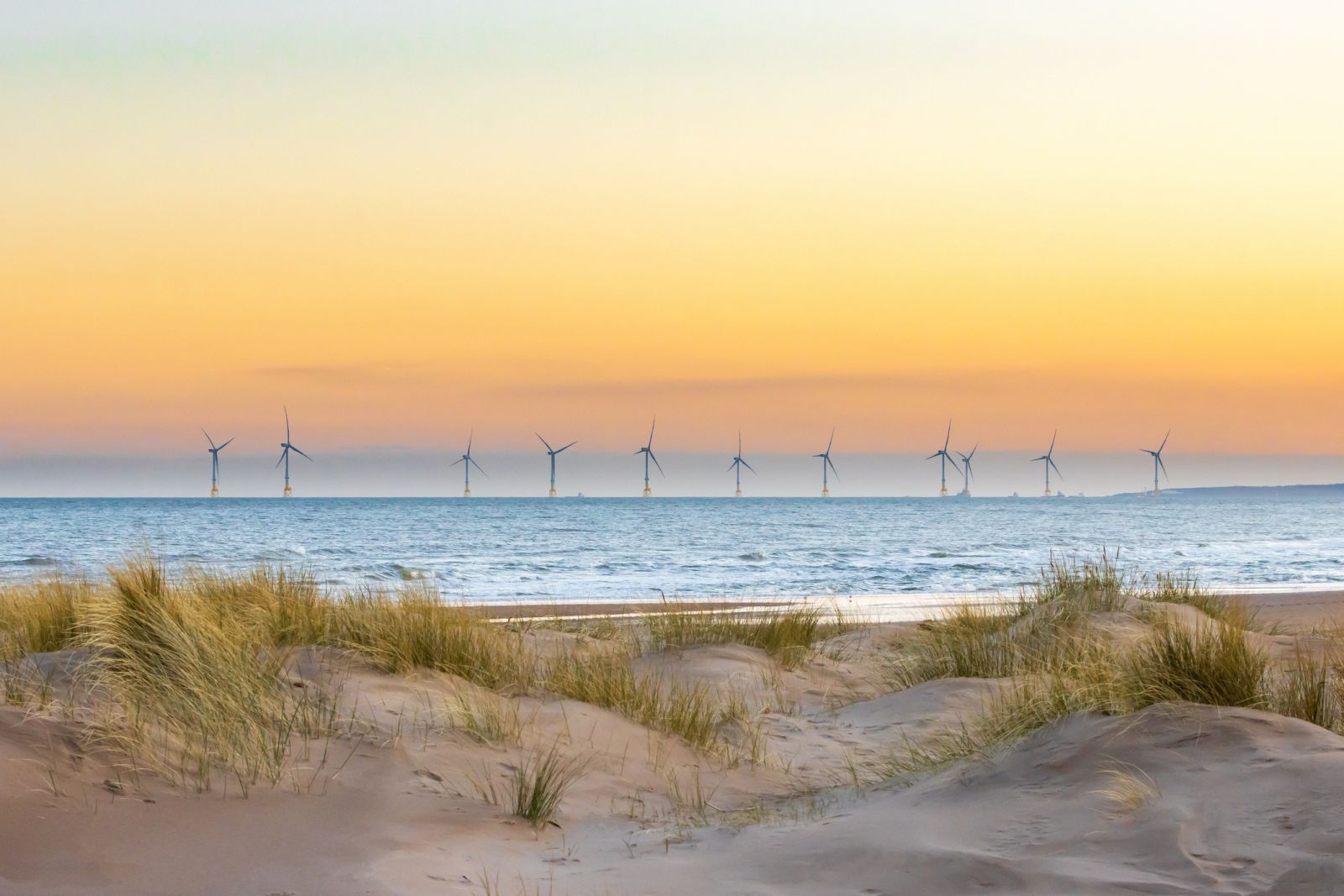 View of offshore windfarm from sand dunes banner image