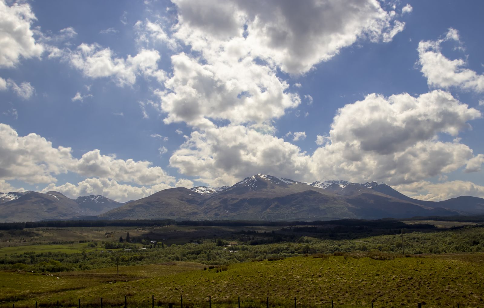 View of Cairngorms National Park banner image