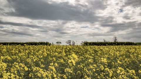 Carbon Literacy Project Community Councils Toolkit webinar