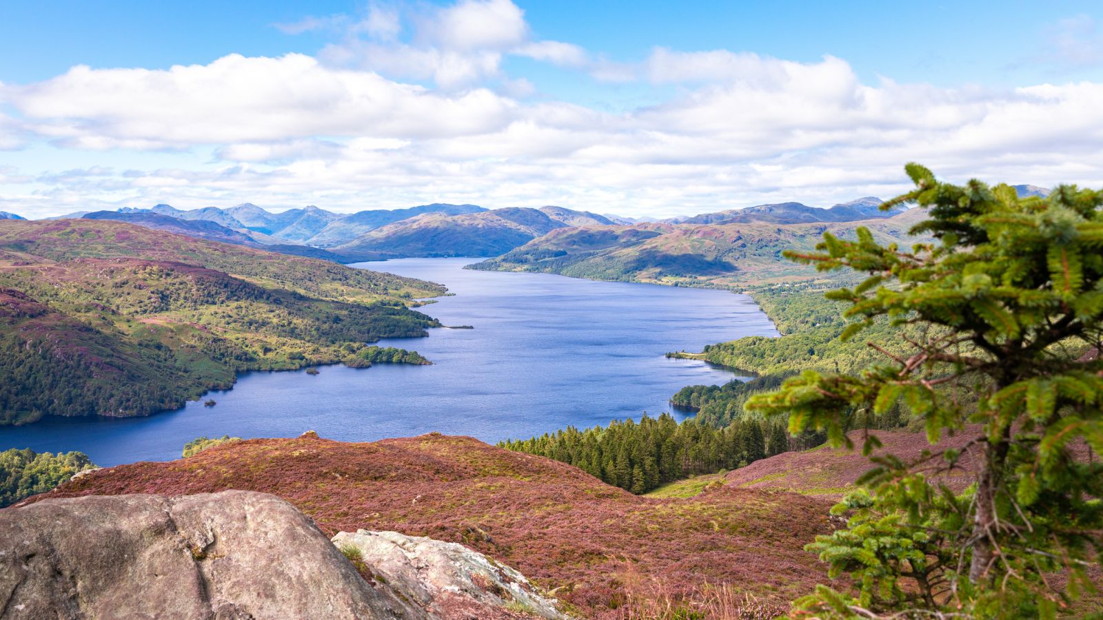 View of Loch Lomond National Park banner image